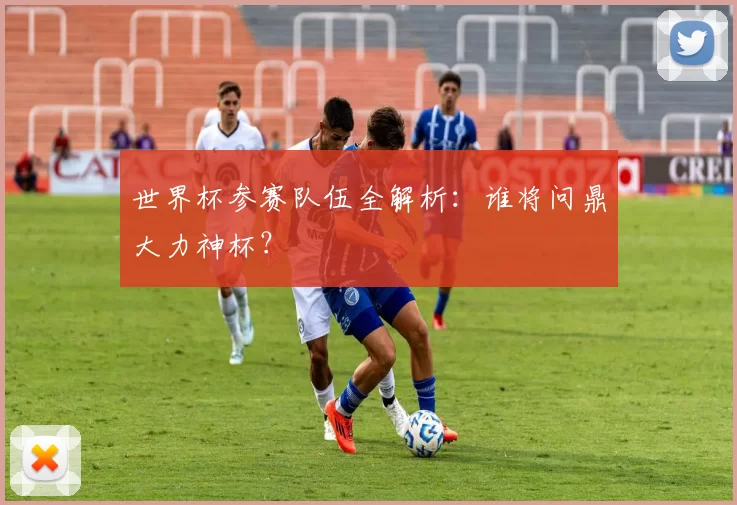 世界杯参赛队伍全解析：谁将问鼎大力神杯？
