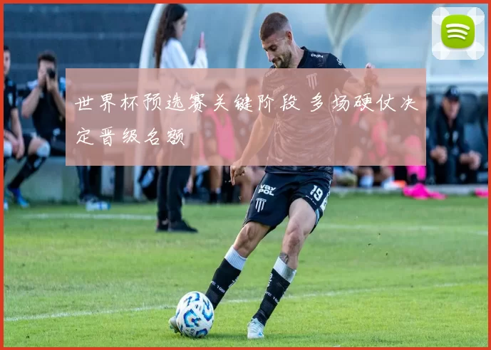 世界杯预选赛关键阶段 多场硬仗决定晋级名额