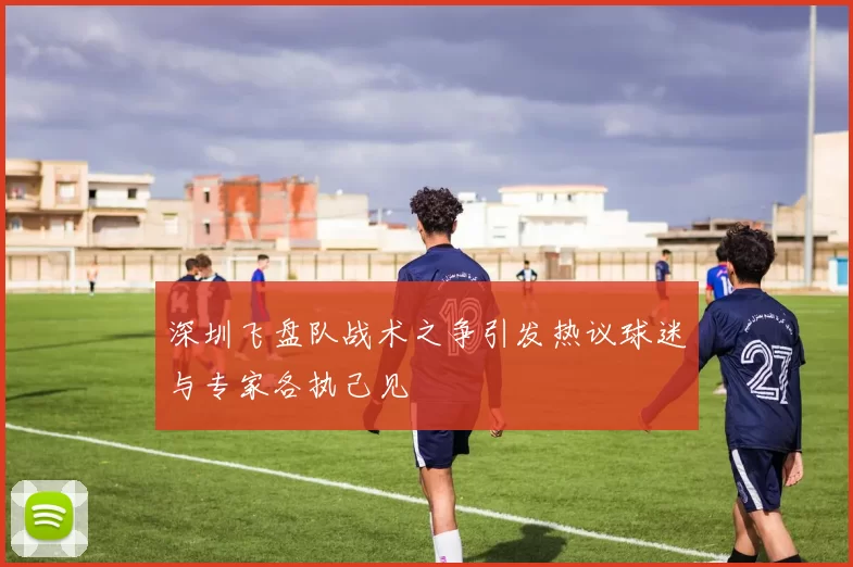 深圳飞盘队战术之争引发热议球迷与专家各执己见