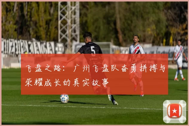 飞盘之路：广州飞盘队奋勇拼搏与荣耀成长的真实故事