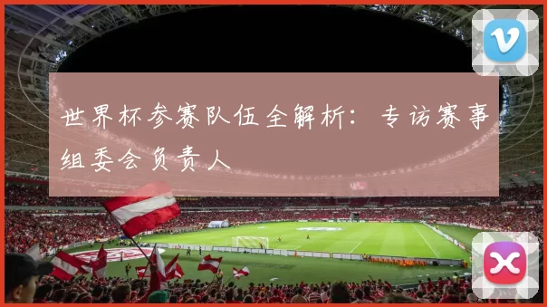 世界杯参赛队伍全解析:专访赛事组委会负责人