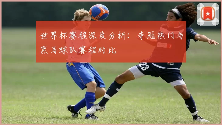 世界杯赛程深度分析：夺冠热门与黑马球队赛程对比