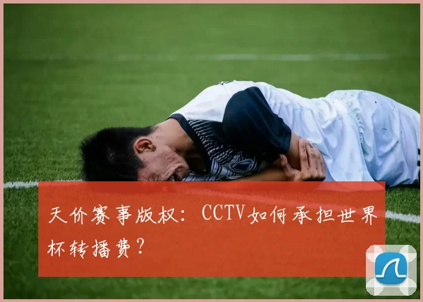 天价赛事版权:CCTV如何承担世界杯转播费?