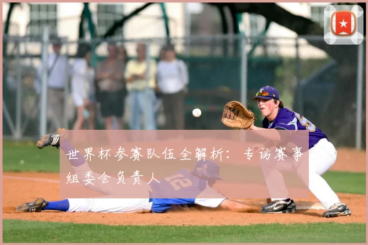 世界杯参赛队伍全解析:专访赛事组委会负责人