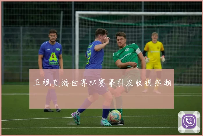卫视直播世界杯赛事引发收视热潮