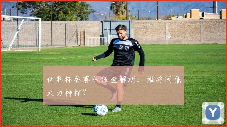 世界杯参赛队伍全解析：谁将问鼎大力神杯？