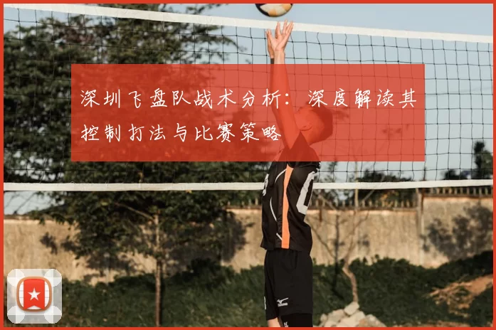 深圳飞盘队战术分析：深度解读其控制打法与比赛策略